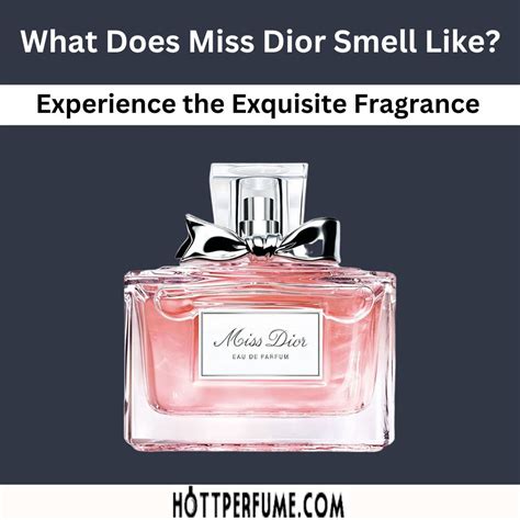 miss dior sexy|what does Miss Dior smell like.